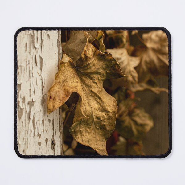Item preview, Dying Ivy designed and sold by PhotosByFelix.