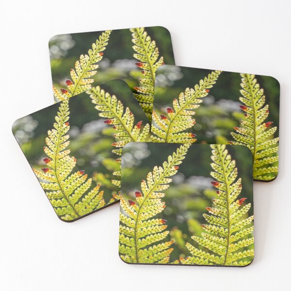 Item preview, Davallia Fern Fronds designed and sold by PhotosByFelix.