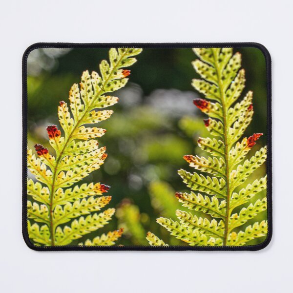 Item preview, Davallia Fern Fronds designed and sold by PhotosByFelix.