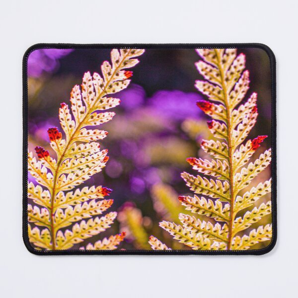Item preview, Davallia Fern Fronds (2) designed and sold by PhotosByFelix.