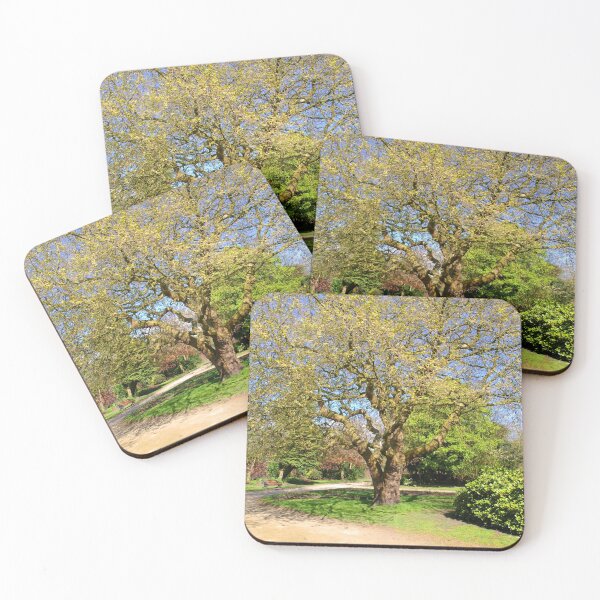 Item preview, Oak designed and sold by burramys.