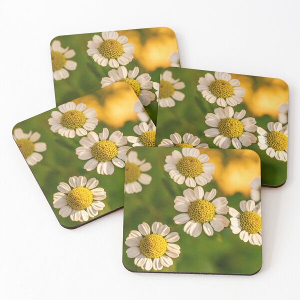 Item preview, Tanacetum parthenium - Feverfew Flower designed and sold by PhotosByFelix.