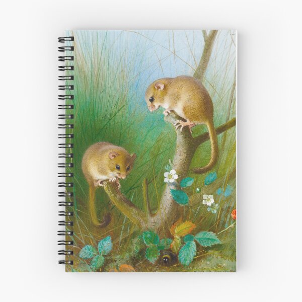 Item preview, Dormice | Archibald Thorburn | 1903 Animal Print designed and sold by CJET.