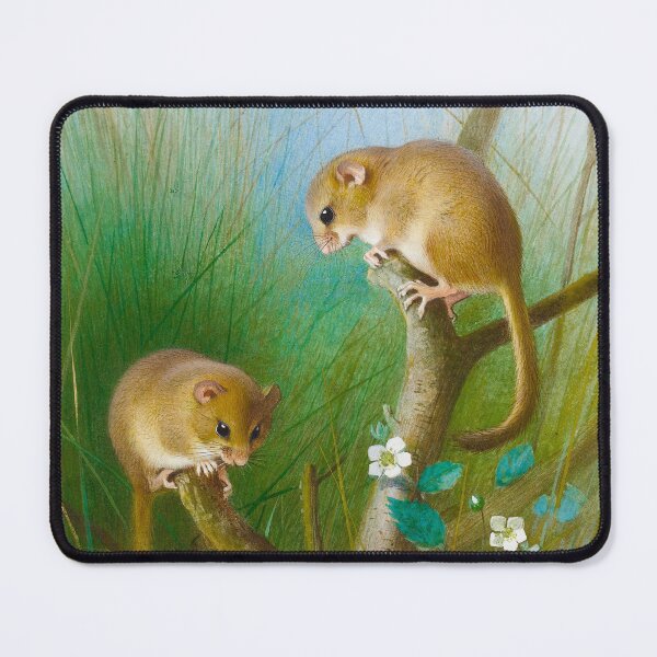 Item preview, Dormice | Archibald Thorburn | 1903 Animal Print designed and sold by CJET.