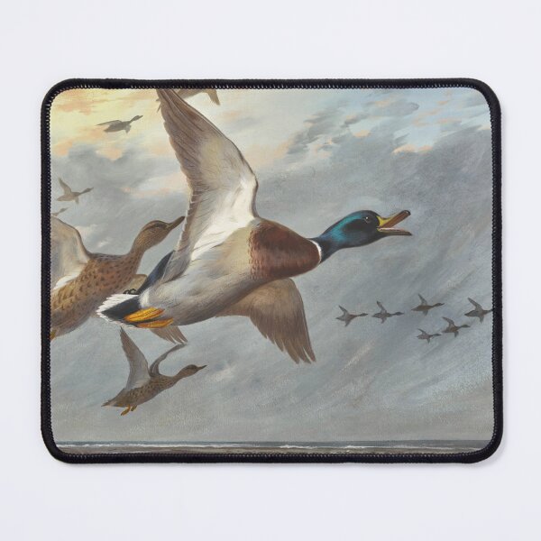 Item preview, Coming in from the Sea | Archibald Thorburn | 1905 Mallard Print designed and sold by CJET.