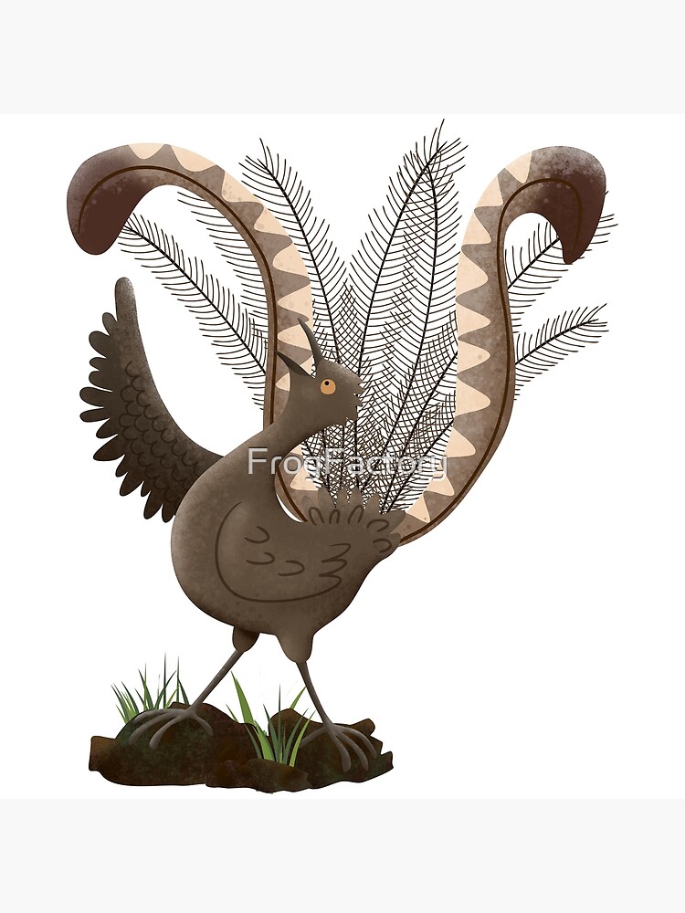 Cute happy superb lyrebird cartoon illustration Poster for Sale by  FrogFactory