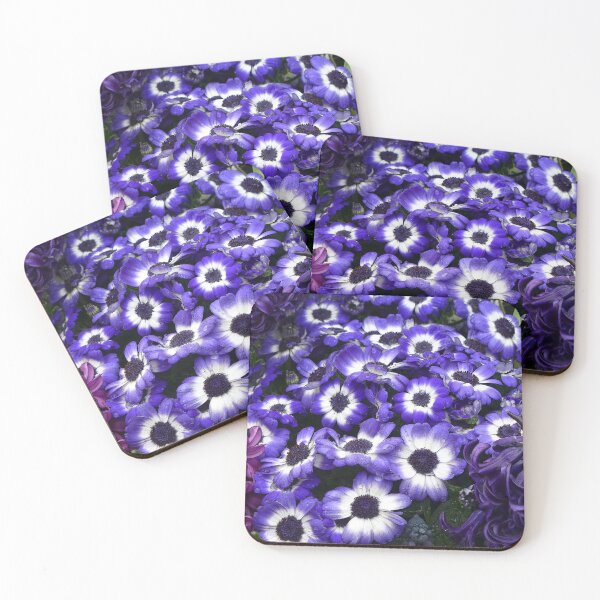Item preview, Purple and White African Daisies designed and sold by Ladydi.