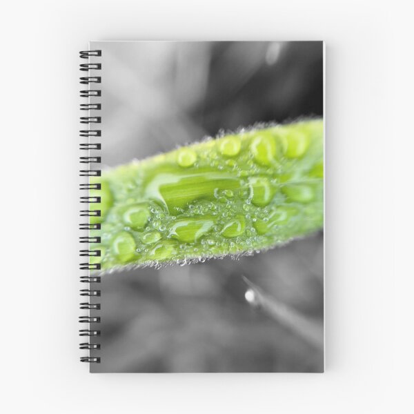 Item preview, Central Curved Macro Shot designed and sold by MyMacro_Photography (MyMacro).