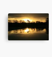 FIELDS OF GOLD Canvas Print