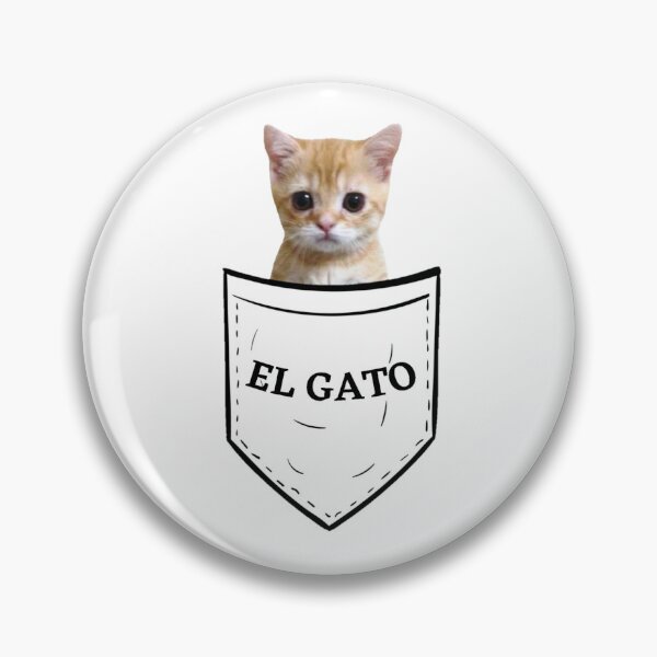 Bottons Memes de Gatos - Cat meme - Gatinhos