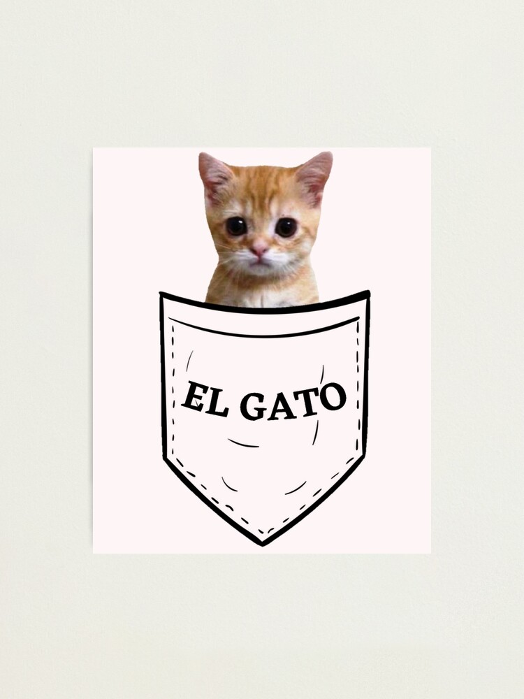 Cat Pfp , Funy cat Photographic Print for Sale by GaliaTati