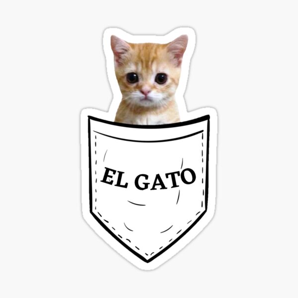 Ice Spice El Gato Meme | Sticker