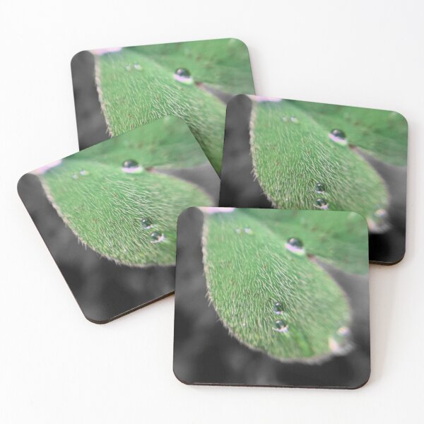 Item preview, Soft Fuzzy Macro Leaf designed and sold by MyMacro_Photography (MyMacro).