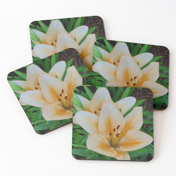 Item preview, Tiger Lily with Leaves Square Photo designed and sold by AliCatOriginals.