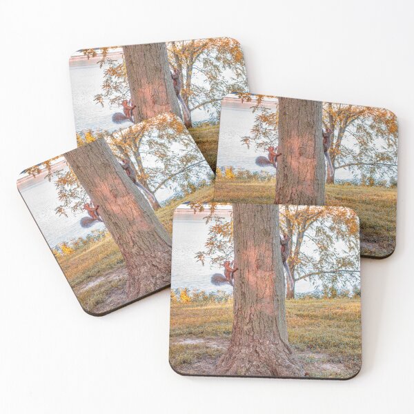 Item preview, Just Hanging Out - Two Squirrels Climbing A Tree At The Park designed and sold by DaveFilm.