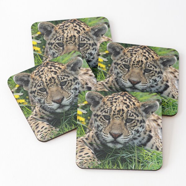 Item preview, Spot designed and sold by Ladymoose.