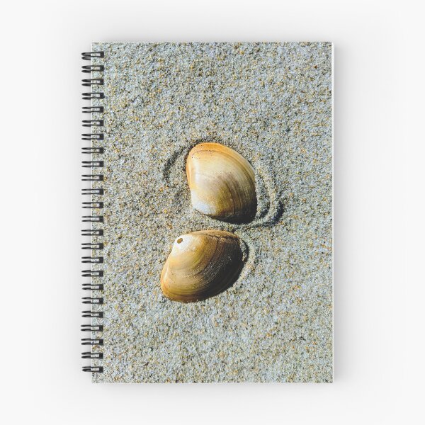 Item preview, Don't Be Shellfish designed and sold by 9Amaryllis6.