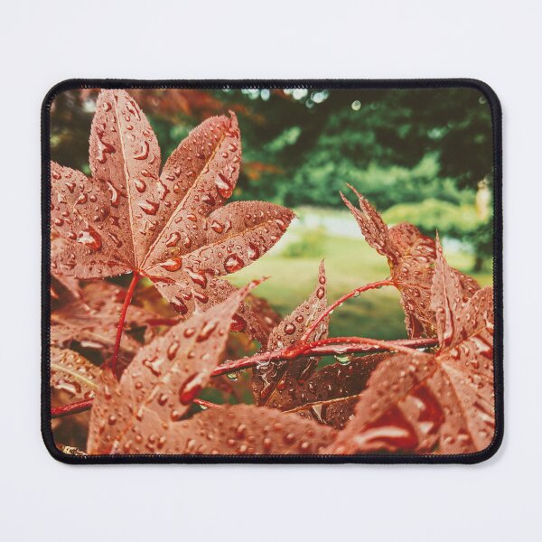 Item preview, Japanese Maple Dew designed and sold by 9Amaryllis6.