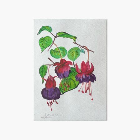 Fuchsias Art Board Print