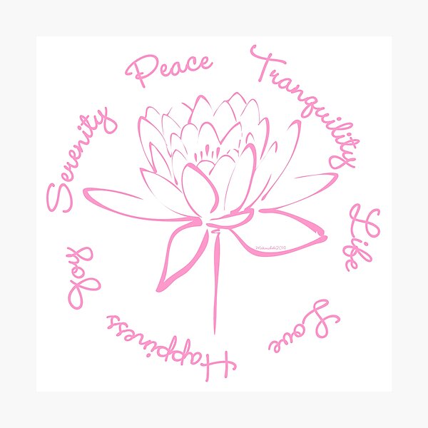 Serenity Tranquility Lotus (Pink) Photographic Print
