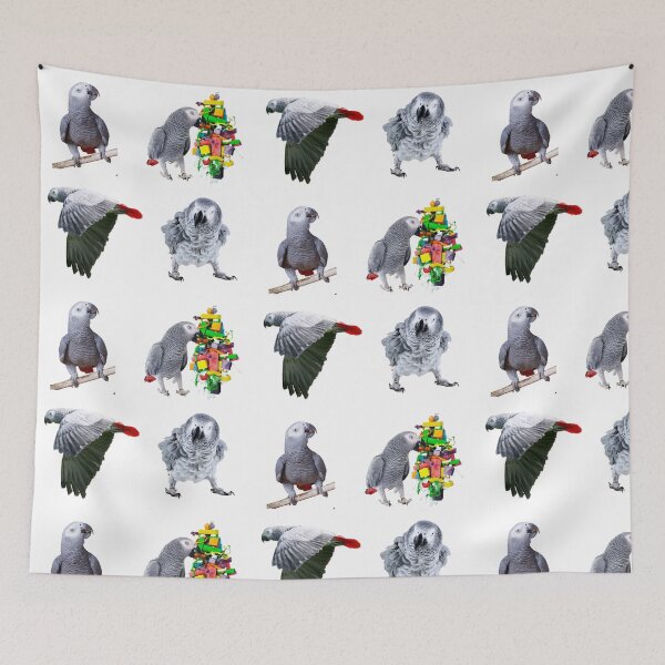 Item preview, African Grey Sticker Pack Of 4 Photo Designs, great gift for African Grey Owners and Parrot Lovers. designed and sold by Abstractdiva.
