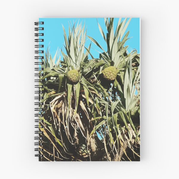 Item preview, Pandanus designed and sold by Harry Pitt.