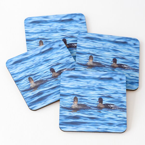 Item preview, Together in the morning. Red-breasted merganser designed and sold by Jouko Lehto Photography.