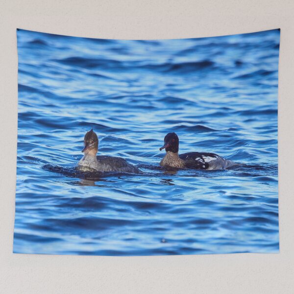Item preview, Together in the morning. Red-breasted merganser designed and sold by Jouko Lehto Photography.