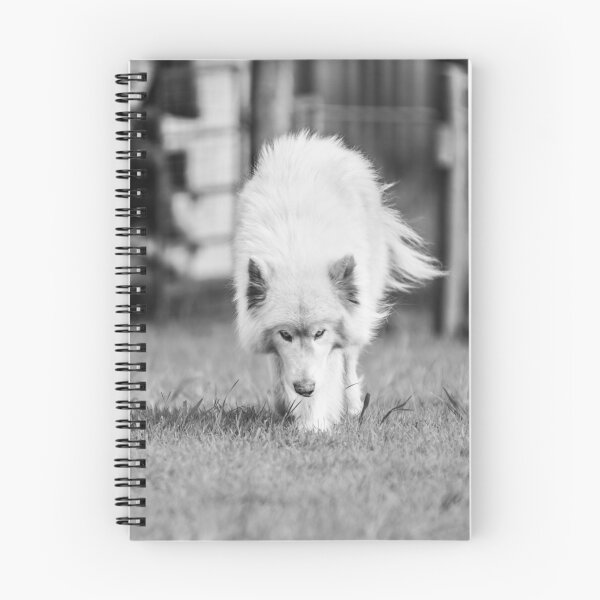 Item preview, Stalk designed and sold by Danielle Espin.