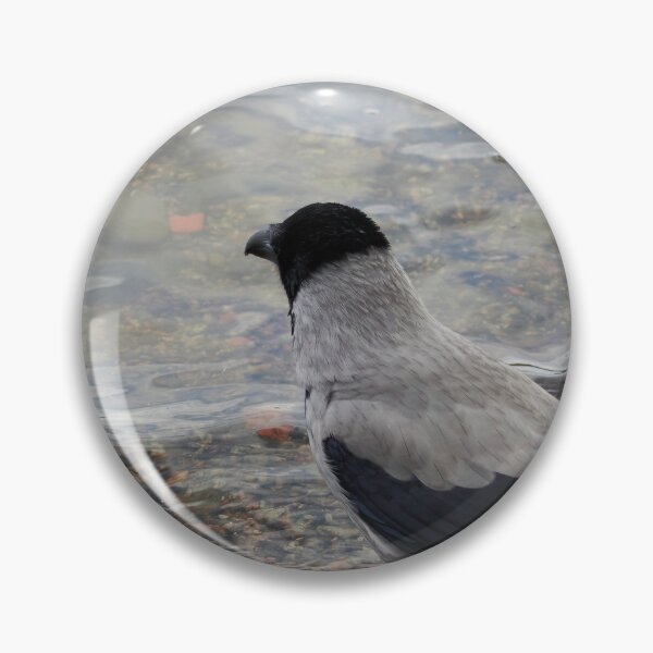 Item preview, Longing to be somewhere else. Hooded crow designed and sold by Jouko Lehto Photography.