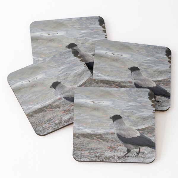 Item preview, Longing to be somewhere else. Hooded crow designed and sold by Jouko Lehto Photography.