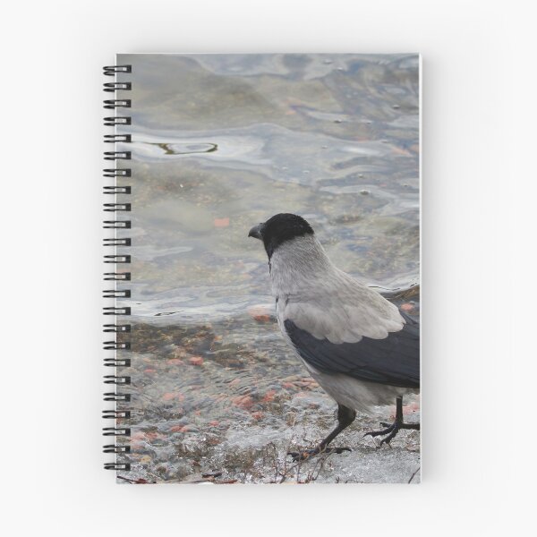 Item preview, Longing to be somewhere else. Hooded crow designed and sold by Jouko Lehto Photography.