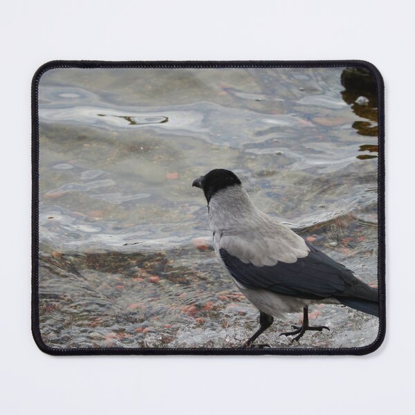 Item preview, Longing to be somewhere else. Hooded crow designed and sold by Jouko Lehto Photography.