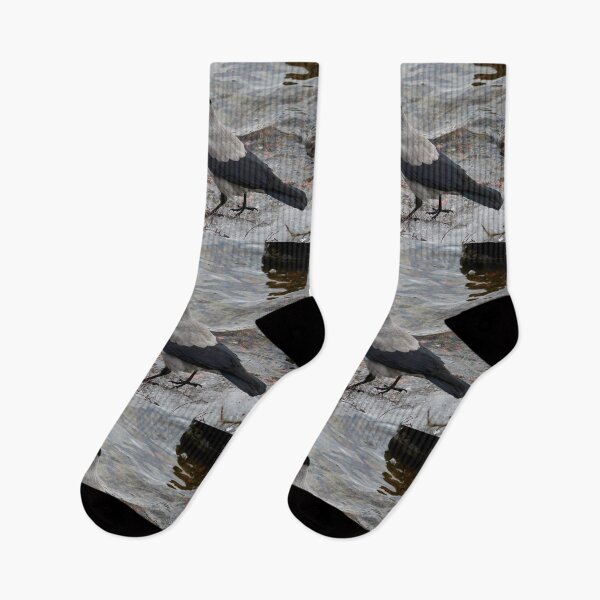 Item preview, Longing to be somewhere else. Hooded crow designed and sold by Jouko Lehto Photography.