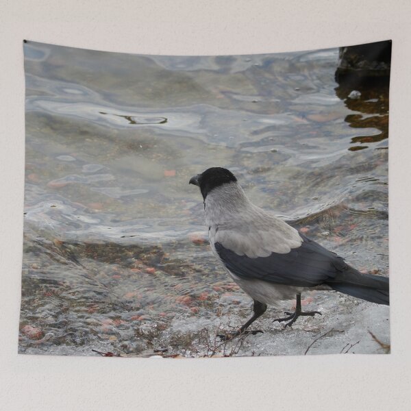 Item preview, Longing to be somewhere else. Hooded crow designed and sold by Jouko Lehto Photography.