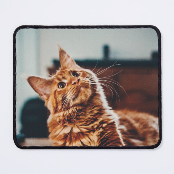 Item preview, Cat designed and sold by BIHSELLER.