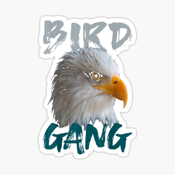 Buy Wholesale Bird Gang Philadelphia sticker, Philadelphia football  sticker, fly eagles fly by exit343design