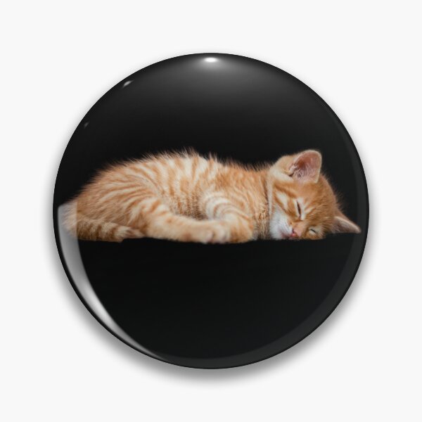 Artikelvorschau, Schlafende Katze entworfen und verkauft von SwejdDesign.