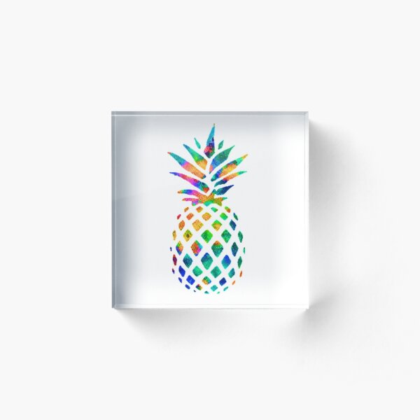 Rainbow Pineapple Acrylic Block