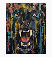 Black Panther Photographic Print