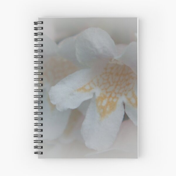 Item preview, Blossom designed and sold by ArteCluster.