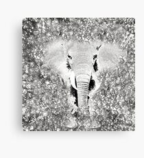 Elephant Sparkle Bling Bling Canvas Print