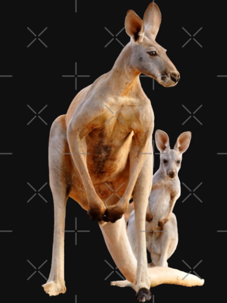 Wallaroo (Kangaroos) 