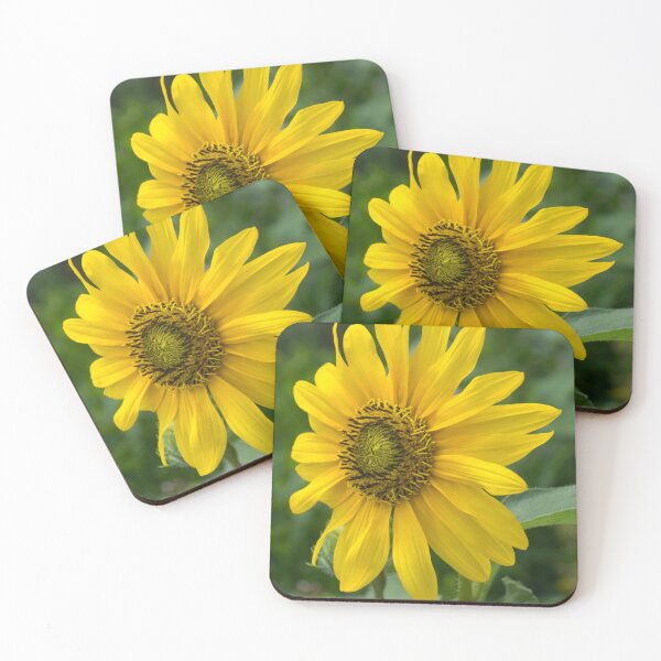 Item preview, One Bold Sunflower - the Beautiful National Flower of Ukraine designed and sold by Georgia Mizuleva.