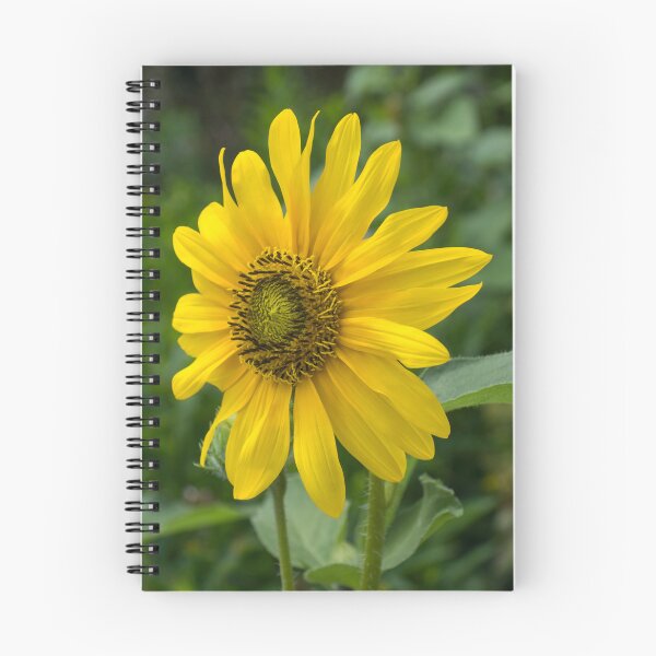 Item preview, One Bold Sunflower - the Beautiful National Flower of Ukraine designed and sold by Georgia Mizuleva.