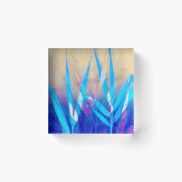 Bamboo Acrylic Block