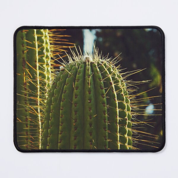 Item preview, Prickly cactus plants at sunset designed and sold by CarolinaReina.