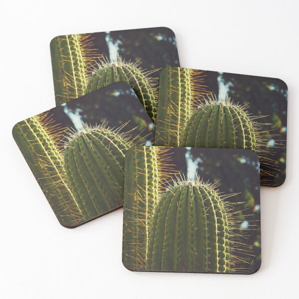 Item preview, Prickly cactus plants at sunset designed and sold by CarolinaReina.