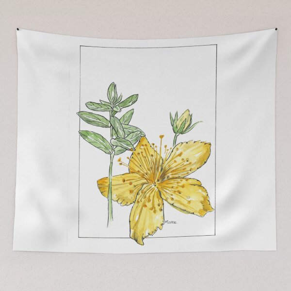 Item preview, Hypericum perforatum - Botanical illustration designed and sold by Maree Clarkson .