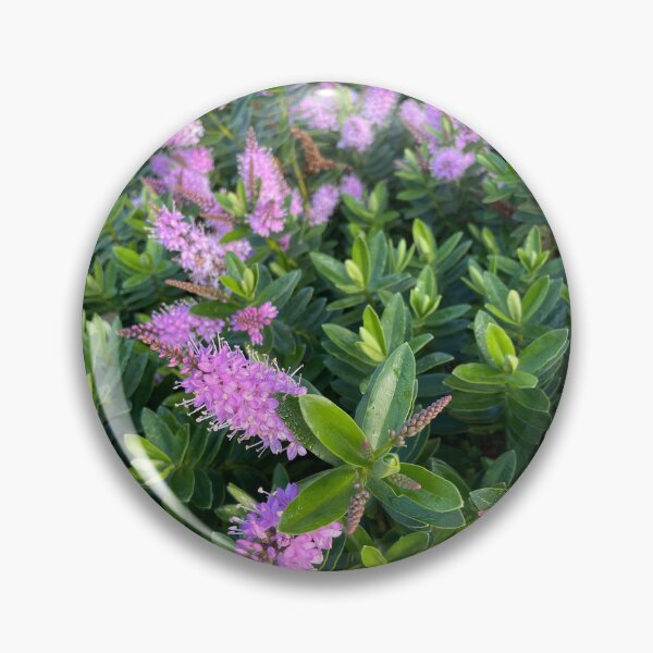 Item preview, Arbusto verde con flores de color rosa púrpura intenso en New River Path designed and sold by NesheYx.